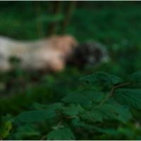 next of skin | Video still by Martyna Poznanska